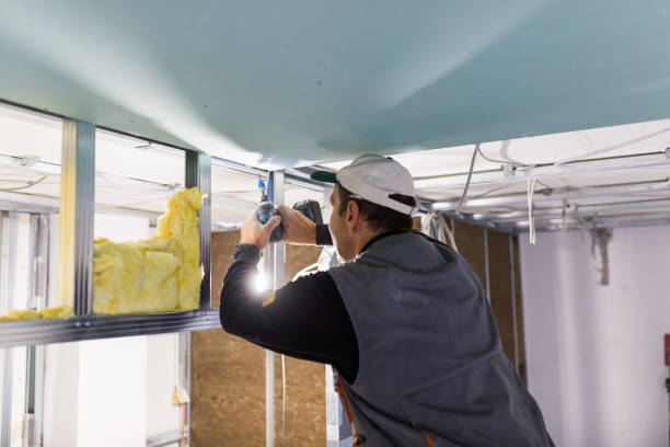 Professional Insulation Contractor in Pine Ridge, FL