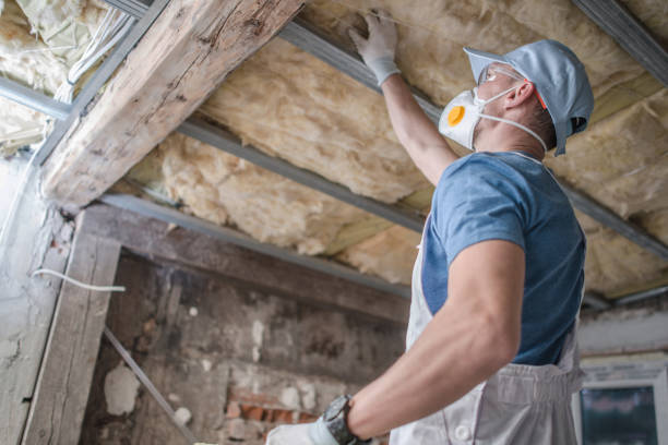 Best Best Insulation Companies  in Pine Ridge, FL