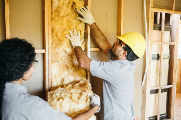 Best Insulation Repair Services  in Pine Ridge, FL