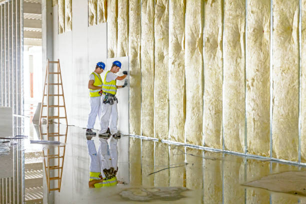 Best Insulation Contractors for Homes  in Pine Ridge, FL